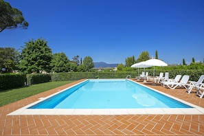 The swimming pool with the surrounding lawn