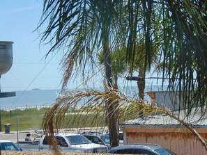 Where you can look through the palm fronds near the porch