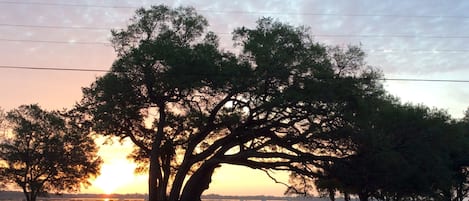 Sunrise from the living room. 