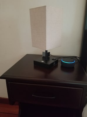 echo dot ALEXA