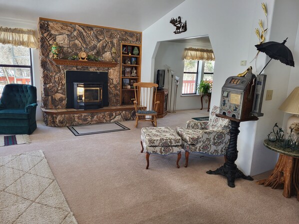 Pellet Stove