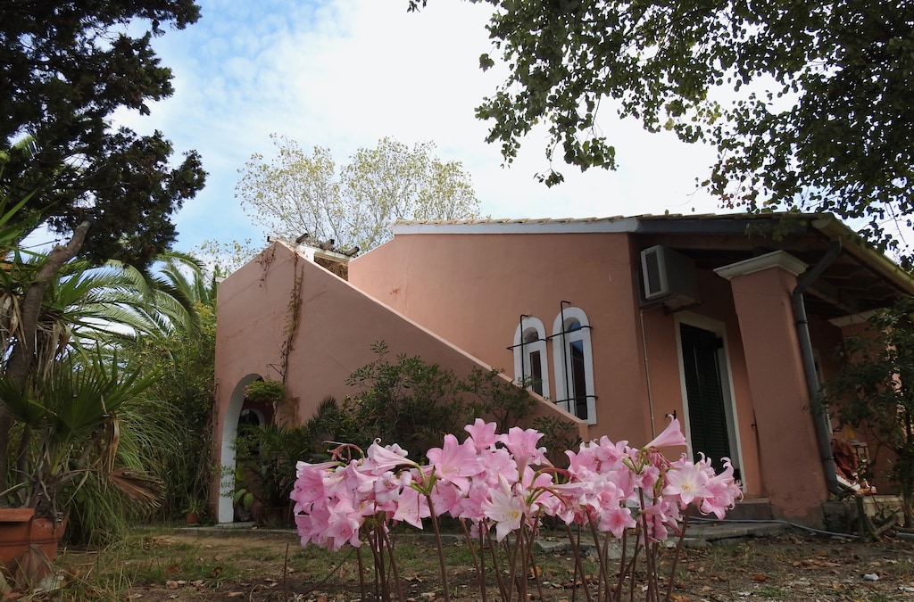 Picture of villa