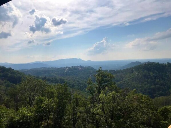 View from the back deck