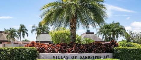 Welcome to sand Piper Bay