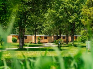 Garten, Frühling, Rasen, Park, Schatten, Landscaping, Garten, Gartenbauten, Hinterhof, Eco Hotel