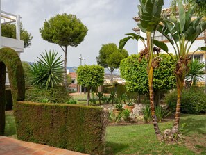 Plante, Ciel, Nuage, Communauté Des Plantes, Vert, Arbre, Lot Terre, Arecales, Végétation, Herbe