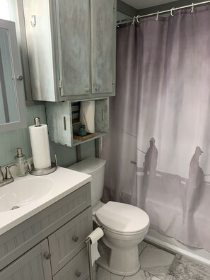 Guest bathroom.