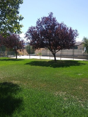Property grounds