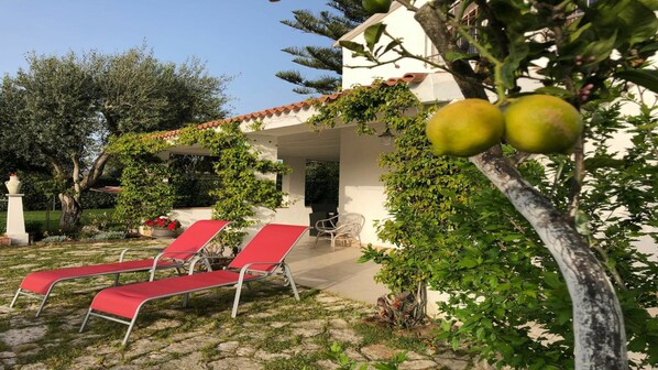 Terrass/Patio