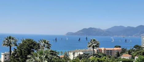 Vue de la  terrasse 