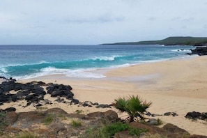 Make Horse Beach (to the right of condo)