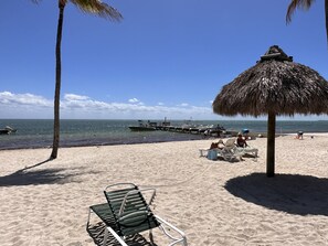 View of the property's beachfront and dock