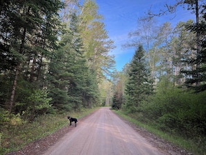 Camp Five Road in front of cabin
