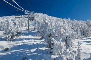 Snow and ski sports