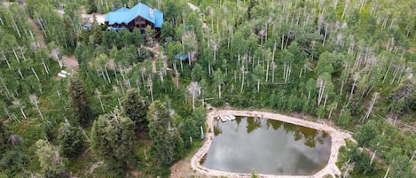 The Blue Moose Cabin Property