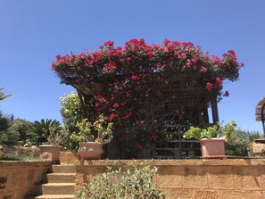 “ Il roseto “ zona relax    Vista mozzafiato sulla Valle dei Templi 