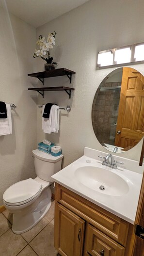 Master bathroom vanity & toilet