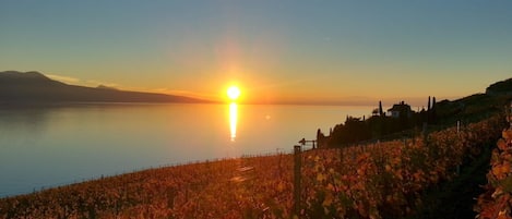 Sunset from Domaine du Burignon in September. Lake Geneva, again :)