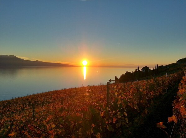 Sunset from Domaine du Burignon in September. Lake Geneva, again :)