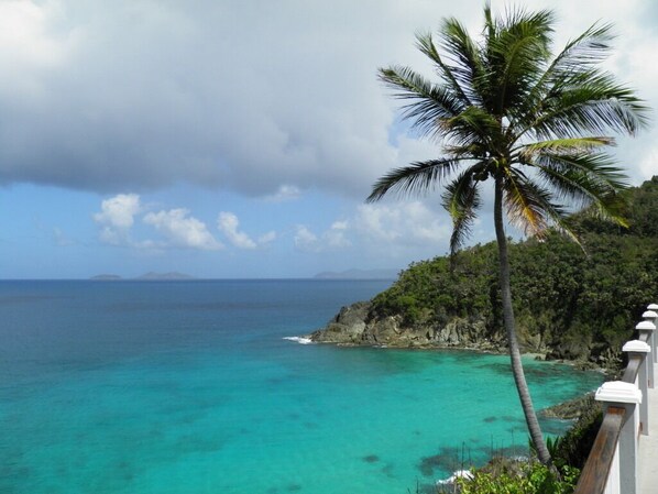 Our coconut tree and the view Tutu Bay from our deck