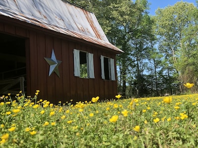 Peaceful Farm Stay at Lofton Acres