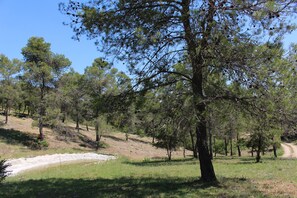 Boendeområde