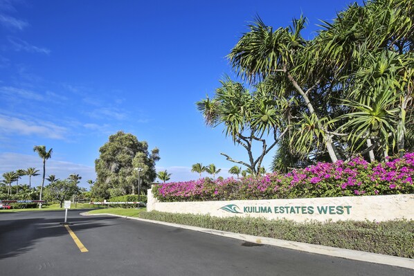 Road, Outdoors, Garden, Freeway, Arbour