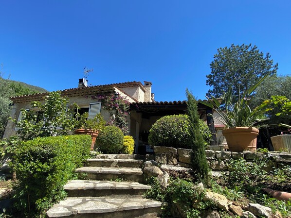 House view from back yard
