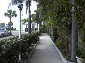 Lush bamboo/palm tree paths line the front of both buildings & are lite at nite