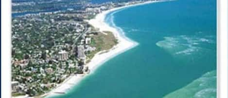 We are located on beautiful Siesta Key.