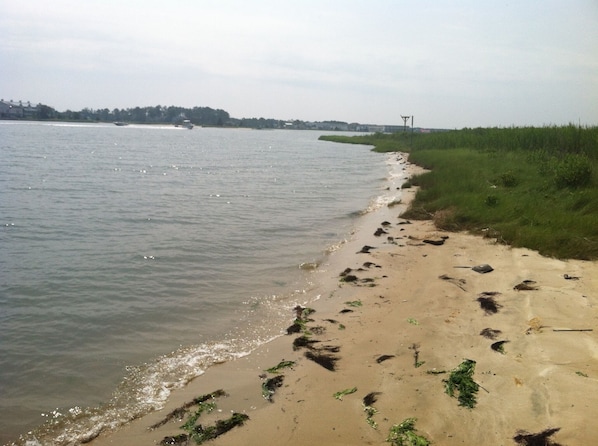 Little beach at the end of Harbor Dr for community use 