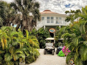 Welcome to your very own Peace of Paradise.