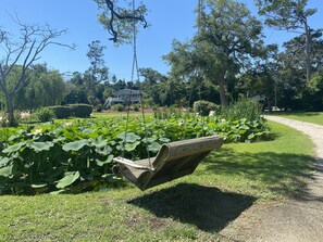 Terrenos do alojamento