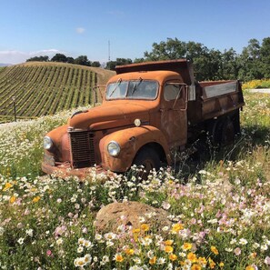 Mission Peak Ranch entrance truck