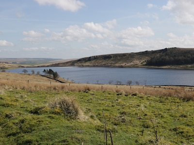 Bwythn Penfro, HAWORTH