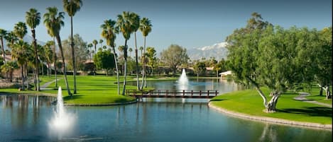 Beautiful Avondale Private Golf Club