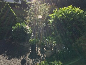 Ellis Garden