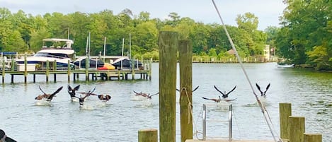 Dock on Carters Creek across from Tide Inn.