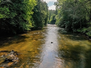 Trouphy Trout Stream