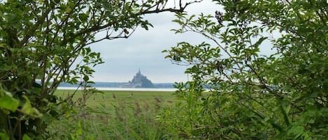 Town/city in general. 20 minutes away from Mont Saint Michel