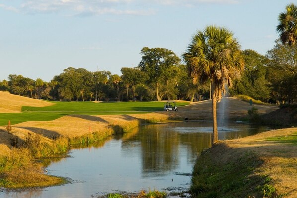 Harbor Golf, Wild Dunes, 5 minutes away.