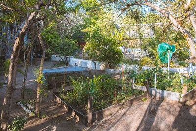 OffGrid SuperAbode Domes In Front of the Ocean with Pool near Roca Blanca 