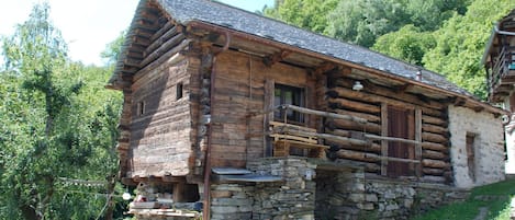 Blokhut, Eigendom, Huis, Hut, Gebouw, Keet, Verblijf, Landelijk Gebied, Boom, Landschap