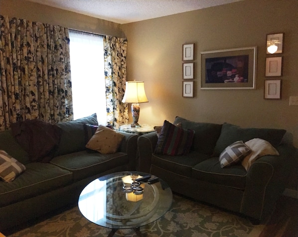 Living area w/ smart tv/streaming stations/dvr. Fast wi-fi.