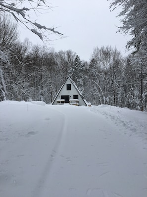 New fallen snow ❄️ Snowshoe or make snow angles in your own private space.