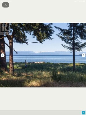 Views of the ocean through Rathtrevor Provincial Park. 
