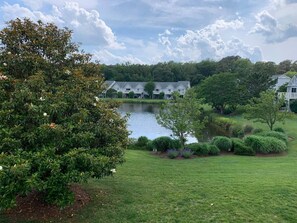 Lake and open space view