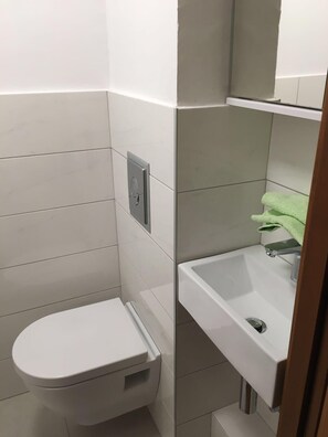 WC. Toilet with washing basin on upper floor at bedroom