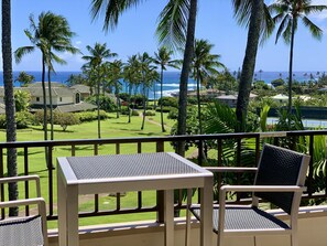 Ocean View from Lanai