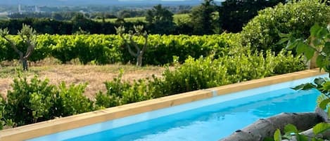 Piscine panoramique avec vue sur les vignes